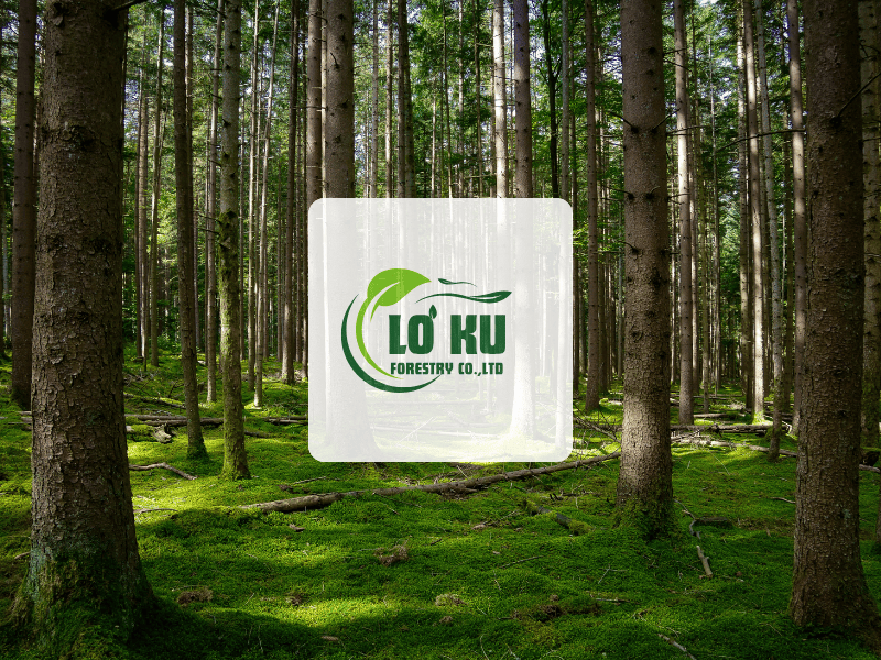 Báo cáo thực trạng quản lý và cơ cấu tổ chức 6 tháng đầu năm 2025